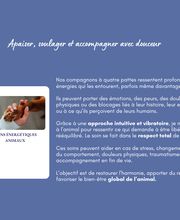 Papillon de Lumière image 9