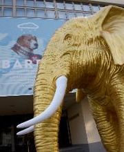 Naturhistorisches Museum Bern Bild 1