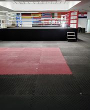 Kickboxen-Team-Xander Bild 5