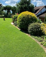 Clean Perfect GmbH Bild 1