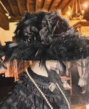 Palacio de Velarde imagen 10