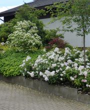 Stark im Garten Bild 29