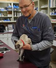 Dogwood Animal Hospital image 5