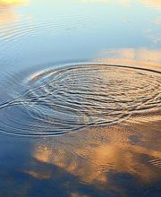 Wermelinger Anita Bild 6