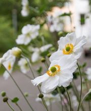 Alterszentrum Kirchhofplatz Bild 2