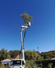 AEC Espaces Verts image 4