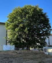 ELLEXA Sàrl Bild 10