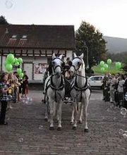 Köchli Heinrich Bild 7