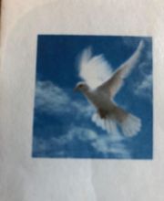 Le Colombier image 14