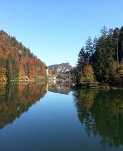 Vedettes Panoramiques du Saut du Doubs image 10