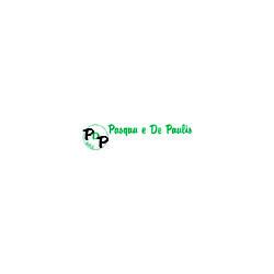 Pdp S.n.c. di De Paulis Alessio, Daniele e Davide logo