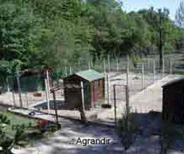 Canicat image 11