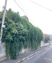 Les Jardins de Fortuné image 8