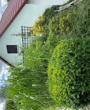 Haus- und Gartenservice - Mittelfranken Pavel Vostarek Bild 3