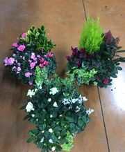 Vive Le Jardin image 14