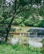 Moulin à Huile Paradis image 3