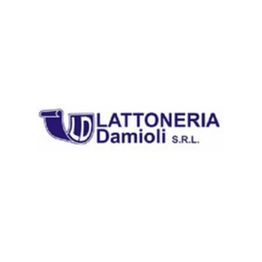 Lattoneria Damioli logo