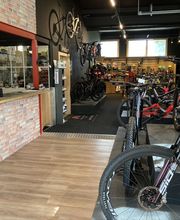 Global Cycles Bild 2