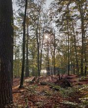 FriedWald Mühlenbecker Land Bild 2