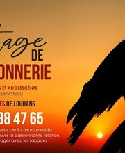 Stages Fauconnerie Lyon , Elevage de rapaces, Effarouchement pigeon, Rhône-Alpes, Bourgogne-Franche-Comté, Saône et Loire image 8