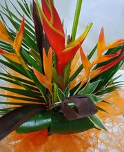 Osiris Fleurs image 7