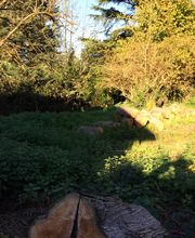 Thuilier Patrick image 8