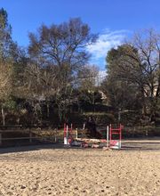 Yearling Club image 1