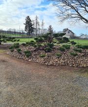 JULIEN LOTTE ESPACES VERTS image 9