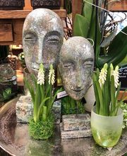 Blumen Interfleur Floristik & Wohnaccessoires Bild 13