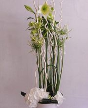 Maison NECTOUX Fleurs et nature image 6