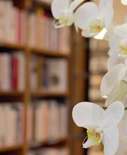 LIBRAIRIE COMMENT DIRE image 5