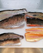 Sauerländer Forellenzucht Thomas Rameil Bild 8