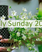 Only Sunday Biokosmetik
