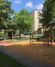 Baumann Gartenbau AG Bild 10