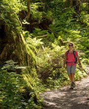 Lauterbrunnen - Wandern