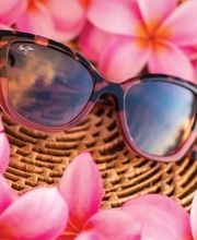 Ebneter Optik, Brillen & Kontaktlinsen Bild 2