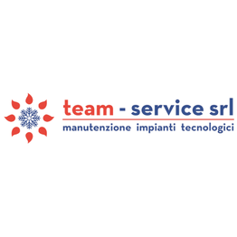 Team Service logo