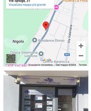 Gallery Cliente