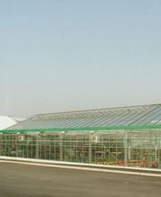 Boucard Horticulture image 6