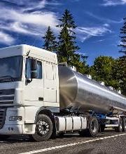 Neteges Bada imagen 10