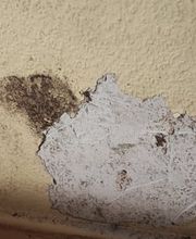 Ingo Laschinski Sachverständiger Bild 13