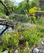 Wildblumendienst Bild 3