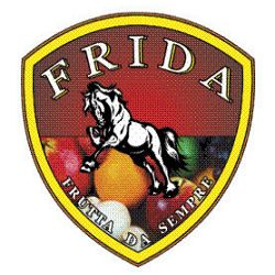 Frida logo