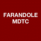 Farandole MDTC