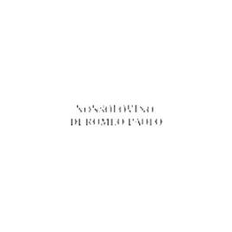 Nonsolovino logo