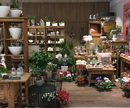 Blumen Interfleur Floristik & Wohnaccessoires Bild 6