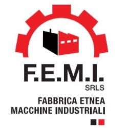 F.E.M.I. Gruppi Elettrogeni logo
