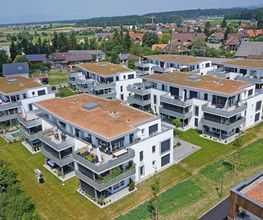 Zollinger Immobilien Bild 8
