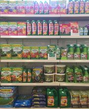 Jardinerie André image 6