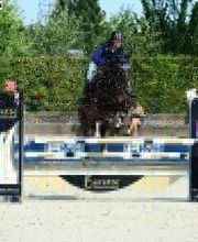 Ecuries des Tourelles image 9